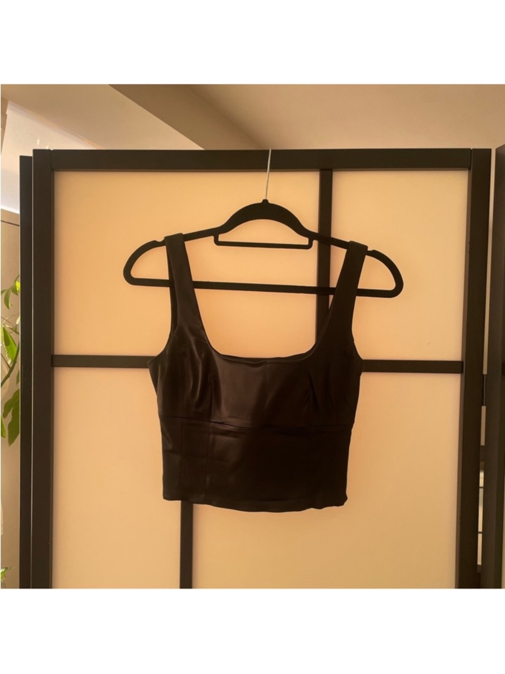 Aritzia Wilfred Shine Bustier
